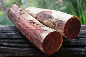 Rosewood Logs <b>for</b> Furniture Export Rosewood Logs <b>for</b> Export to Europe Rosewood Logs <b>for</b> Export to Asia - Product Image 4