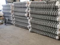 Fil de cyclone de 1.8m/2.0m/2.4m de hauteur/maille de 65mm maille de clôture galvanisée liée à la chaîne
