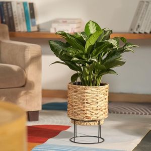 Best Selling Metal Bamboo Handmade <b>Rattan</b> Large Plant Pots <b>Planters</b> Indoor Outdoor Garden <b>Tall</b> <b>Planter</b> Pots <b>Rattan</b> Basket - Product Image 4