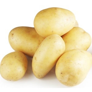 Patatas frescas al por mayor Patatas frescas directas de la granja con textura natural y color brillante - Product Image 5