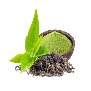ผงสกัดชาเขียวบริสุทธิ์สารสกัดจากชาเขียว98% โพลีฟีนอล - Product Image 3