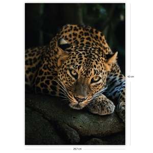 Jungle Art Print Set of 6 for Living Room Decor Made of Durable <b>Paper</b> - Product Image 3