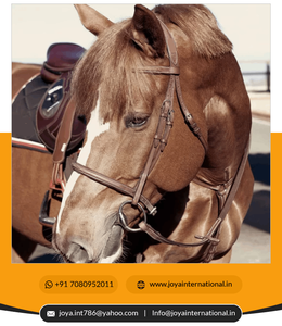 Brida de cuero de lujo de caballo de alta calidad estilo occidental con costura elegante rienda doblada francesa elevada precio al por mayor - Product Image 6