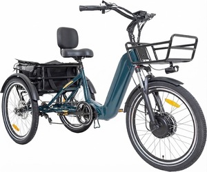 Bicicletta Elettrica a 3 Ruote con Motore 750W, Batteria 48V 13AH, Indicatori di Direzione e Retromarcia, Triciclo Elettrico Pieghevole con Pneumatici da 24 Pollici - Product Image 1
