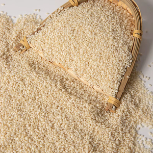 Graines de sésame blanches 100 % pures de qualité conventionnelle, pureté élevée 99,97 % pour la transformation alimentaire et la pâtisserie - Product Image 2