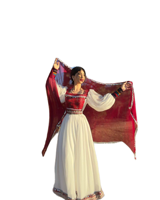 Robe longue Anarkali bohème vintage ethnique pour femmes afghanes en mousseline de soie, éco-responsable, taille naturelle, manches longues, détails boutonnés