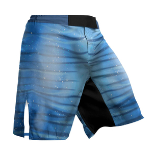 Shorts de MMA et Muay Thai pour hommes, service OEM, matière polyester, taille mi-haute, vêtements de sport, sublimation, shorts de MMA pour arts martiaux - Product Image 3