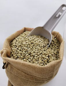 Granos de Café Verde Robusta de Alta Calidad de Vietnam, 100% Naturales, Certificados ISO 22000, Marca TNFOOD, Grado G1/G2, Bolsas de 1000 kg - Product Image 2
