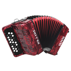 Accordéon à 25 touches et 12 basses, accordéon à boutons, instrument de performance pour adultes, accordéon professionnel Bayan - Product Image 1