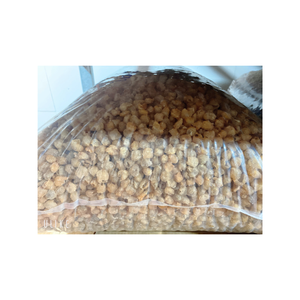 มะม่วงอบแห้งแบบพรีเมี่ยมจากเวียดนามมีรสชาติหรือสีเทียมที่หอมหวานตามธรรมชาติเหมาะสำหรับตลาดต่างประเทศ - Product Image 4