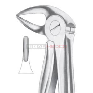 Fig. 33 Racines inférieures Forceps d'extraction de dents de différentes tailles Dental Medic Instruments Prix de gros Fournisseur en gros - Product Image 1
