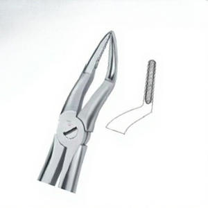 Fórceps de extracción de dientes Fig.51 Diam Productos de logotipo personalizado de alta calidad Instrumentos dentales de acero inoxidable de alta calidad - Product Image 6