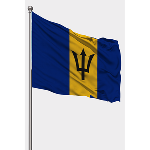 Drapeau extérieur de la Barbade imprimé numériquement avec mât en aluminium, bannières durables en polyester et soie plastifiée pour l'assurance - Product Image 1