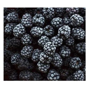 Mora Congelada IQF de Primera Calidad, Fruta Congelada de Grado Alimenticio, Proveedor Mayorista, Precio de Fábrica - Product Image 4