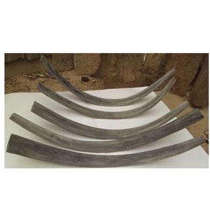 Tira de Cuerno de Búfalo Natural para Hacer Arcos de Alta Calidad - Product Image 1