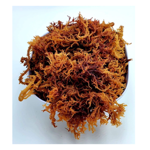 Fabricante de musgo marino seco de alta calidad de Vietnam // Sra. Jennie - Product Image 1