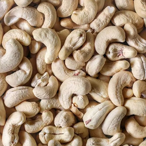 High Quality Organic Vietnam Cashew Nuts W320 Roasted Bulk Raw Cashews Competitive Prices for Dried <b>Fruits</b> Nuts AFI Certified - Product Image 1