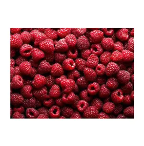 100% murni dan alami kualitas tinggi grosir manis dan lezat beri segar buah Raspberry untuk pembelian massal