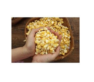 เมล็ดข้าวโพดแช่แข็งพรีเมี่ยมให้รสชาติที่เข้มข้นและเนื้อนุ่มสำหรับการทำอาหารที่หลากหลาย - Product Image 2