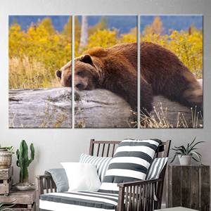 หมีสีน้ำตาลกำลังพักผ่อนบนท่อนไม้ ภาพพิมพ์บนผ้าใบ - ของตกแต่งผนังสมัยใหม่,3P:ห่อหุ้มอย่างดี - Product Image 1