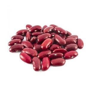 Venta al por mayor a precio económico de frijoles rojos de alta calidad / Precio de frijoles rojos / Venta al por mayor de frijoles rojos de proveedor portugués - Product Image 2