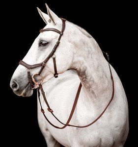 Bride de cheval en cuir véritable de haute qualité FABRICANT en cuir véritable Bride de cheval à la mode Bride de luxe en cuir de cheval - Product Image 3