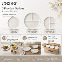 Ensemble d'assiettes divisées en céramique blanche JOZING, écologiques, plateau de service sectionnel, assiettes à déjeuner, compatibles lave-vaisselle, directement de l'usine