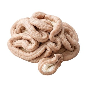 Intestinos de Cerdo Congelados Premium, Limpios e Higienizados, de Alta Calidad, para Hotpot, Barbacoa y Elaboración de Salchichas - Product Image 6