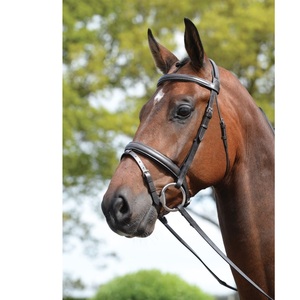 Tocado acolchado Flash Brida Venta al por mayor nueva Alta Calidad Horse Snaffle Leather Brida en negro - Product Image 1