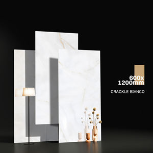 การออกแบบที่สวยงามสไตล์ยุโรป การผลิตเซรามิกกระเบื้องจีนที่ยิ่งใหญ่ในอินเดียสําหรับที่จอดรถ - Product Image 1