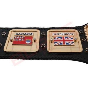 เข็มขัดแชมป์ NWA Authentic Wear รุ่น Commemorative ประดับด้วยหินหลากสี เข็มขัดมวยปล้ำคุณภาพสูง เข็มขัดแชมป์สุดหรู - Product Image 2