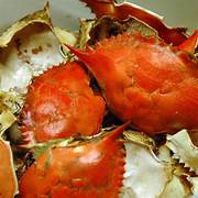 VIETNAM EXPORTS <b>CRAB</b> <b>SHELLS</b> to PRODUCE HIGH QUALITY ANIMAL FEED at GOOD PRICES - Product Image 6