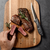 Ensemble de 4 couteaux à steak en acier inoxydable avec revêtement antiadhésif, 4,5 pouces, manche en plastique doux au toucher, passe au lave-vaisselle, écologique, avec boîte cadeau