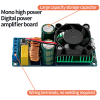 IRS2092S HIFI Mono 500W carte amplificateur numérique Module amplificateur Audio classe D avec Protection de haut-parleur mieux que LM3886