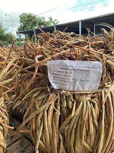 เชือกผักตบชวาธรรมชาติตากแดดแห้งสำหรับงานฝีมืออุปกรณ์เสริมและเฟอร์นิเจอร์ - Product Image 2