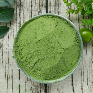 Poudre de Neem pour gommage corporel et exfoliation de la peau, traitement naturel ayurvédique pour une peau lisse et douce, herbe biologique 1 lb - Product Image 6