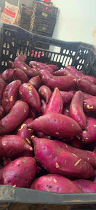 Farm Fresh IQF Fournisseur vietnamien de patates douces congelées fournissant des produits de qualité supérieure - Product Image 3