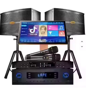Auténtico Set de Micrófono Inalámbrico de 10 Pulgadas con Woofer para Fiestas y Karaoke Familiar - Product Image 1