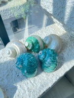 Coquilles de conque polies coquille d'escargot Turbo coquillages décor tropical poisson écologique pour les améliorations de réservoir coquillage Turbo poli