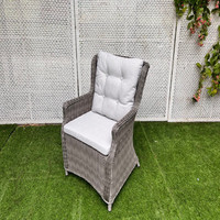 Fauteuil de jardin moderne marron en rotin tressé avec structure en aluminium étanche, pour extérieur, hôtel, balcon, salon, avec coussin, pour entrepôt et salle à manger