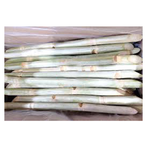 2024ใหม่ชุดปลูกพืชแบบออร์แกนิกสดแช่แข็งพร้อมกระบวนการ BQF และ iqf แพ็กระบสูญญากาศที่มีคุณค่าทางโภชนาการและรสชาติดี - Product Image 5