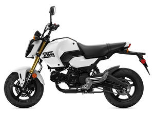 Motocicletas Gromm (ABS) GROM125AT 2026 Disponibles, Nuevas en Stock - Product Image 6