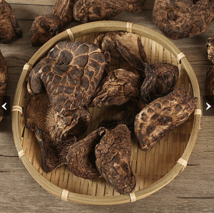 PRECIO BAJO 2023 Hongo Sarcoma Imbricatus Seco de Blue Lotus Vietnam - Product Image 6