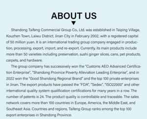 Mochila Portátil para Mascotas - Product Image 5