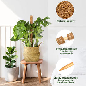 Kit de 4 poteaux en mousse plastifiée avec attaches pour Monstera, support pour plantes d'intérieur/extérieur en serre, frais de port inclus, stock US - Product Image 5
