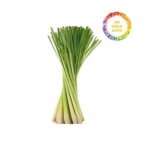 Hierba de Limón Congelada de Alta Calidad de Vietnam, Exportación a Granel Disponible para Empresas que Buscan un Suministro Constante y Rentable - Product Image 6