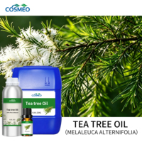 Supplier Pabrik 100% Minyak Pohon Teh Australia Murni Alami Segar Premium (Melaleuca Alternifolia) untuk Pembersihan Kulit & Perawatan Rambut