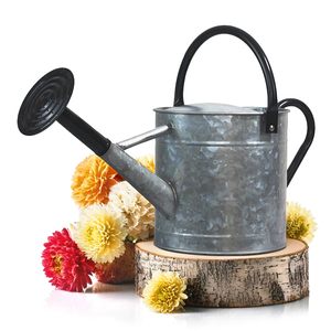 Exclusive Look Iron Metal <b>Water</b> <b>Cans</b> Designer Blue Finished Home and Garden Supplies Watering <b>Can</b> Flower Holders - Product Image 5