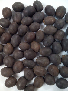เมล็ดบัวสีดำตากแห้งจากเวียดนามราคาดีพร้อมประกันสินค้าการเกษตร - Product Image 3