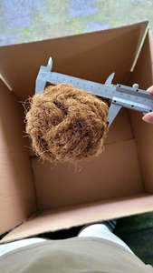 Classic Style Antler Liver Flavors Eco Friendly Woven Cotton Rope Natural Rubber <b>Dog</b> Chew Toy Cartoon Pattern Multi-Size <b>for</b> - Product Image 4